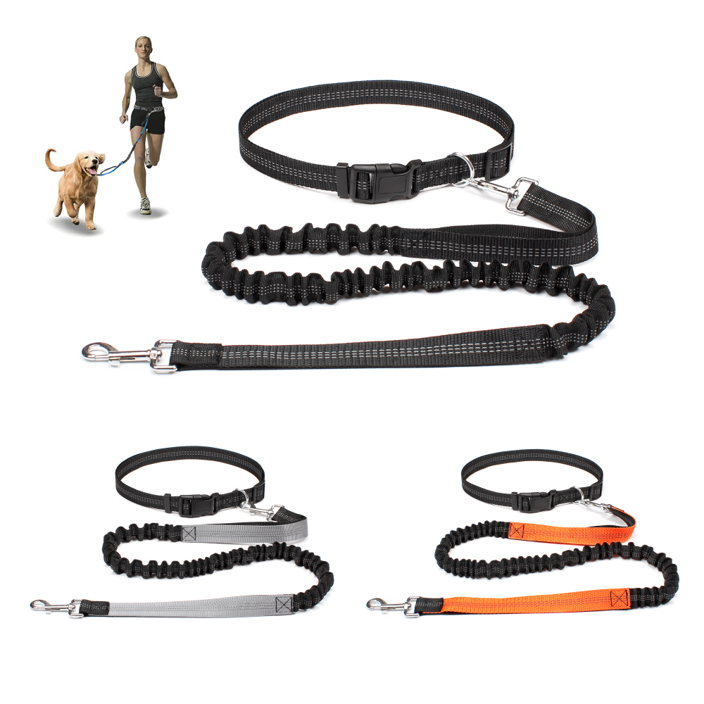 Running Gear Holder - Evcil Hayvanları Yürütmek, Koşmak, Egzersiz Yapmak