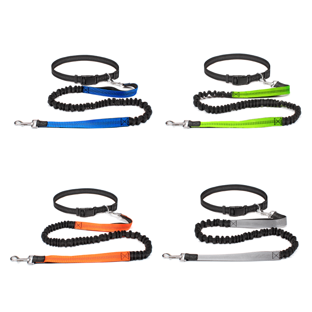 Evcil Hayvanları Yürütmek, Koş - Running Gear Holder incelemesi ve fiyatı